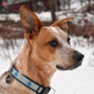 Meet your Posher, Kelsea